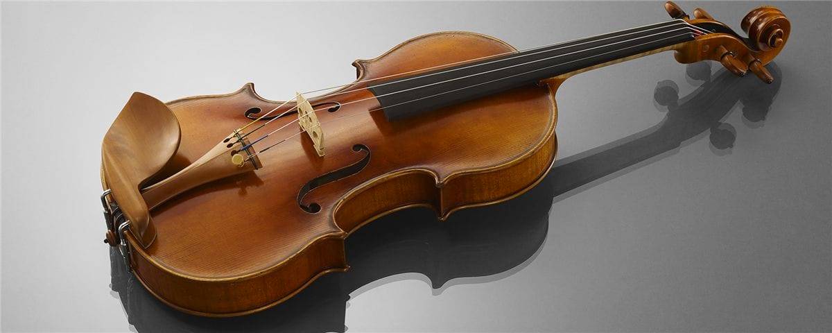 Violin 小提琴